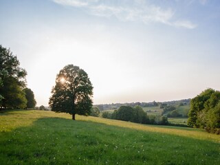 Ferienhaus Momignies Außenaufnahme 2
