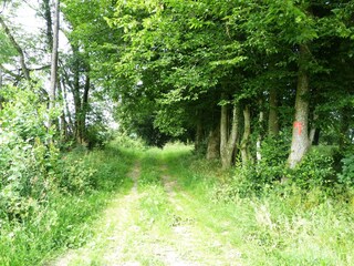 Vakantiehuis Momignies Omgeving 29