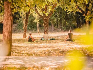 Parco vacanze Vallon-Pont-d'Arc Ambiente 23