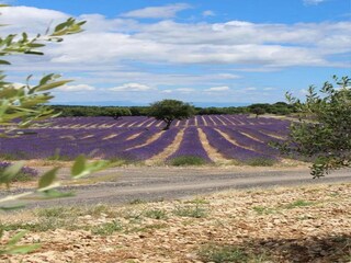 Parco vacanze Vallon-Pont-d'Arc Ambiente 23