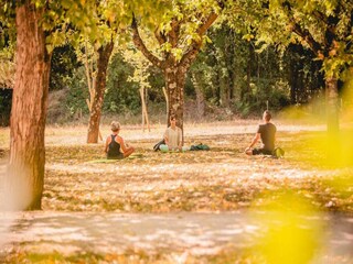 Parco vacanze Vallon-Pont-d'Arc Ambiente 11