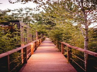 Parc de vacances Vallon-Pont-d'Arc Environnement 24