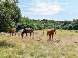 Ferienhaus Torxé Außenaufnahme 2