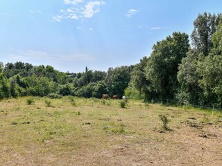 Casa per le vacanze Torxé Ambiente 35