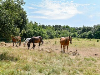 Casa per le vacanze Torxé Ambiente 26