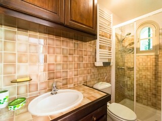 Vakantiehuis Saint-Paul-en-Forêt Kenmerken 22
