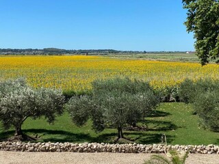 Casa per le vacanze Saint-Paul-en-Forêt Ambiente 38