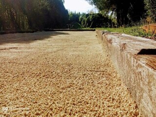 Vakantiehuis Saint-Paul-en-Forêt Omgeving 39