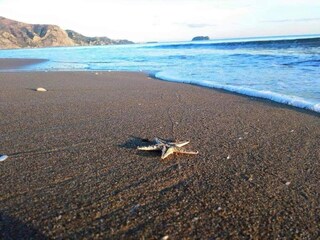 Villa Mouzaki Umgebung 20