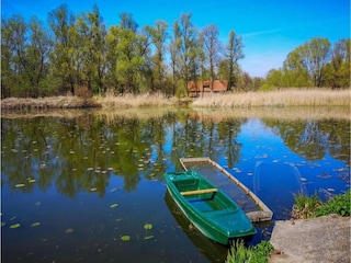 Villa Selce Environment 32
