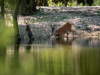 Villa Bol Environnement 25