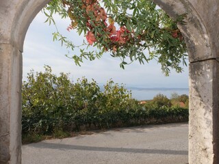 Maison de vacances Selce  38