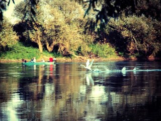 Casa per le vacanze Crna Luka Ambiente 31