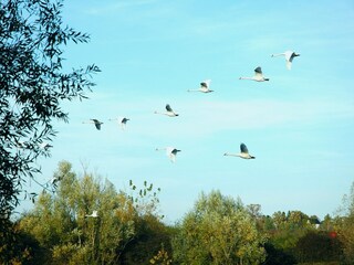 Casa de vacaciones Crna Luka Entorno 34