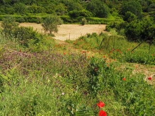 Appartement Suđurađ Environnement 31