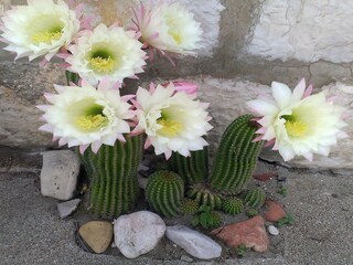 Apartamento Suđurađ  41