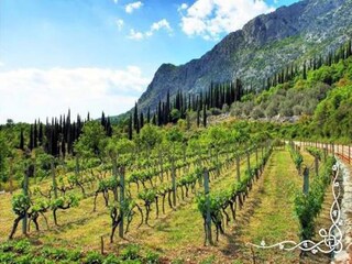 Vakantiehuis Mihanići Omgeving 18