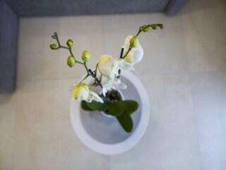 Apartment Imotski  39