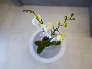 Apartamento Imotski  36