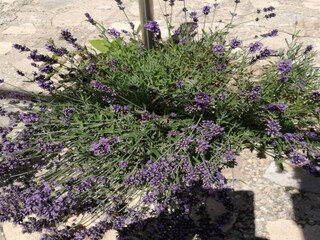 Maison de vacances Ružić  40