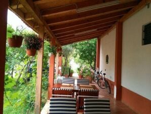 Maison de vacances en bord de mer à Starigrad avec jardin et balcon - Séline - image1