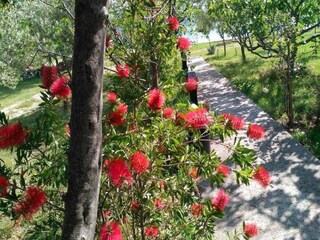 Casa per le vacanze Seline  41