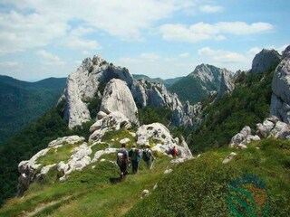 Holiday house Seline Environment 30