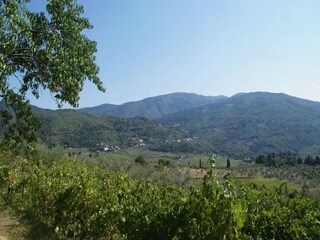 Casa de vacaciones Pelago Entorno 26