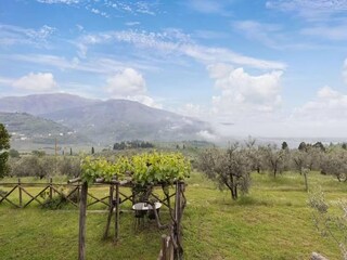 Casa per le vacanze Pelago Ambiente 26