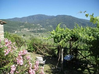 Casa de vacaciones Pelago Grabación al aire libre 10