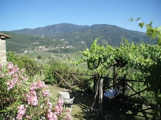 Maison de vacances Pelago Enregistrement extérieur 10