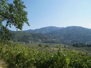 Vakantiehuis Pelago Omgeving 24