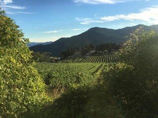 Ferienhaus Pelago Umgebung 30