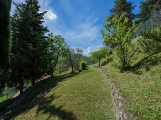 Ferienhaus Pelago Umgebung 25