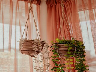 Parque de vacaciones Uitgeest  39