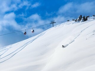 Casa per le vacanze Hollersbach im Pinzgau Ambiente 31