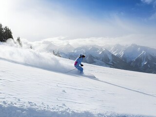 Casa de vacaciones Hollersbach im Pinzgau Entorno 34
