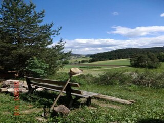 Appartement Lauterbach (Schwarzwald) Environnement 35