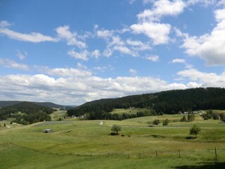 Apartamento Lauterbach (Schwarzwald) Entorno 37