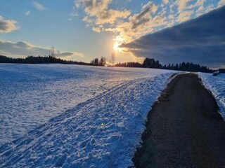 Appartement Lauterbach (Schwarzwald) Environnement 40