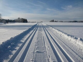 Appartamento Lauterbach (Schwarzwald) Ambiente 40
