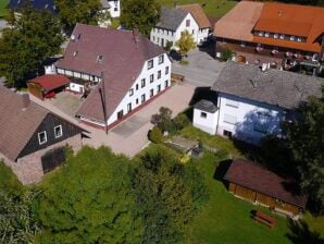 Appartement de charme dans la Forêt Noire - Lauterbach (Forêt Noire) - image1