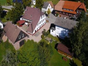 Appartement de charme dans la Forêt Noire - Lauterbach (Forêt Noire) - image1