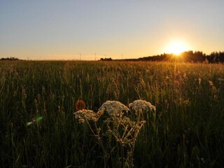 Apartamento Lauterbach (Schwarzwald) Entorno 33