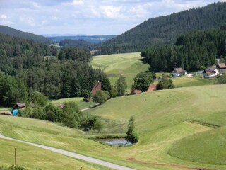 Apartamento Lauterbach (Schwarzwald) Entorno 19