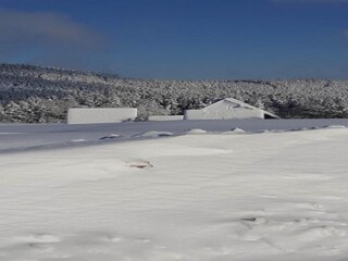 Apartamento Lauterbach (Schwarzwald) Entorno 33