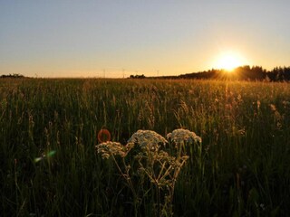 Appartement Lauterbach (Schwarzwald) Environnement 33