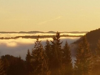 Apartamento Lauterbach (Schwarzwald) Entorno 31