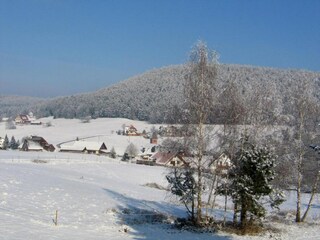 Appartement Lauterbach (Schwarzwald) Environnement 40