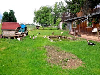 Appartement Lauterbach (Schwarzwald) Buitenaudio-opname 8